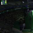 Vídeo: adeptos viram Palmeiras-Botafogo nas bancadas... através de ecrã