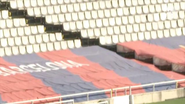 Um tigre à solta em Montjuic