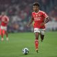 Benfica: Neres está de volta ao Seixal