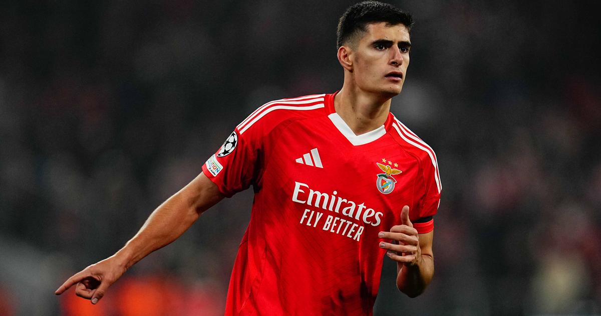«Carência de centrais no Benfica é óbvia para todos»