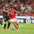 E. Amadora - Benfica: Vizinhos em momentos diferentes