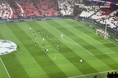 Aquecimento da equipa do Benfica