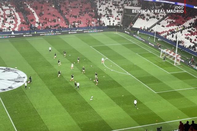 Aquecimento da equipa do Benfica