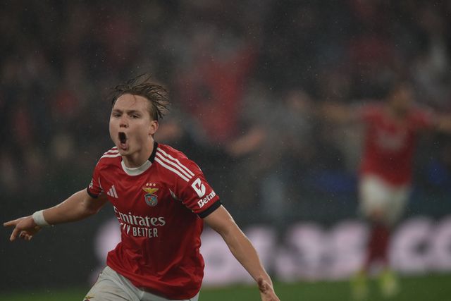 O festejo de Schjelderup ao empatar - Foto: Miguel Nunes