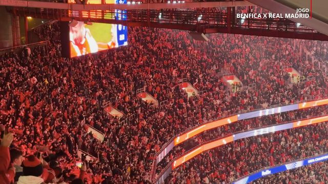 Luz festeja golo de Schjelderup