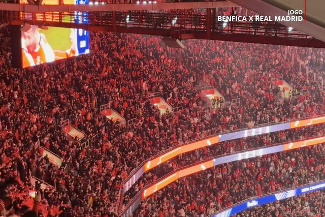 Luz festeja golo de Schjelderup