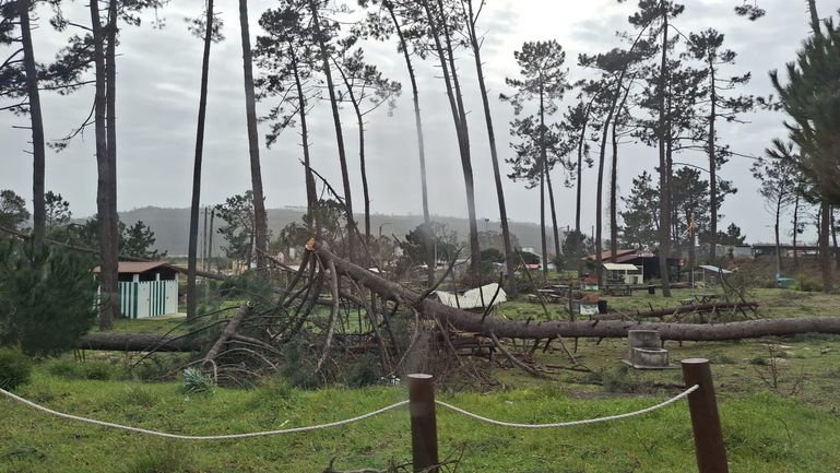 Danos na Nazaré. Postes foram derrubados, árvores cortadas ao meio e postos de combustível fechados (D.R.)