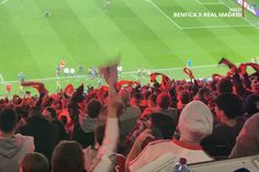 Explosão de alegria depois do golo de Schjelderup