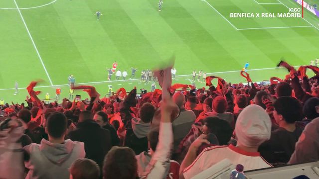 Explosão de alegria depois do golo de Schjelderup