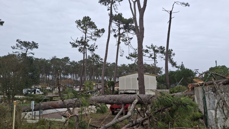 Danos na Nazaré (D.R.)