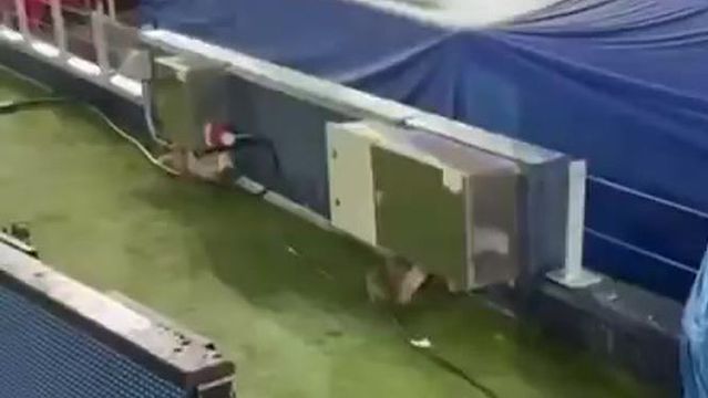 Depois das infiltrações, Camp Nou é visitado... por um rato