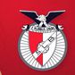 O Benfica está em festa: conhece os símbolos ao longo de 120 anos?
