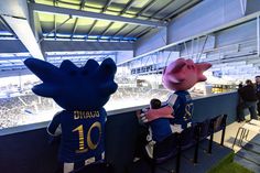 A INZONE é um espaço seguro e adaptado, para pessoas neurodivergentes poderem assistir a qualquer jogo no Estádio do Dragão - Foto: FC Porto