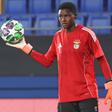 Benfica: duas águias na seleção do Brasil