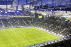 Incansáveis no apoio aos dragões