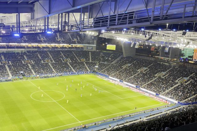 Incansáveis no apoio aos dragões