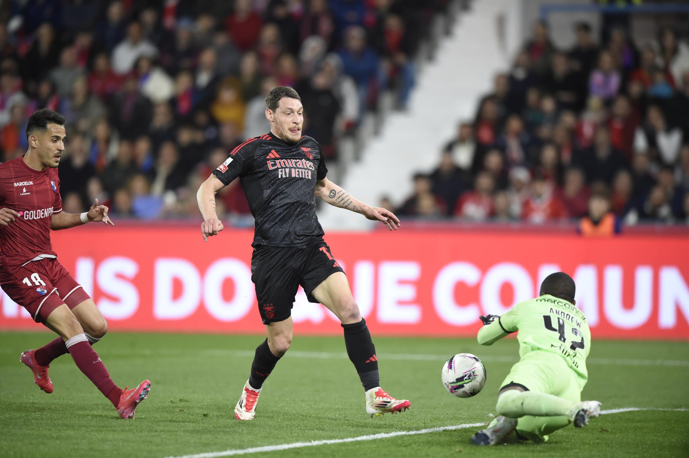 VÍDEO: Belotti entrou pela baliza dentro para confirmar o 2-0
