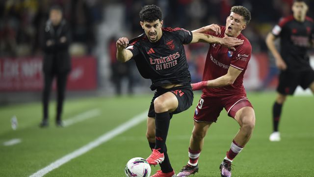 «Tomás Araújo claramente suscita preocupação no Benfica»