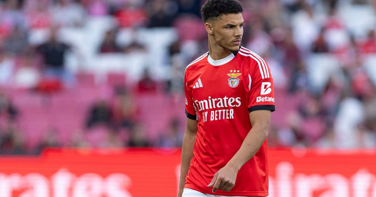 Benfica: reforço de peso no último fôlego