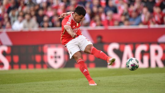 Benfica: Marcos Leonardo chega-se à frente