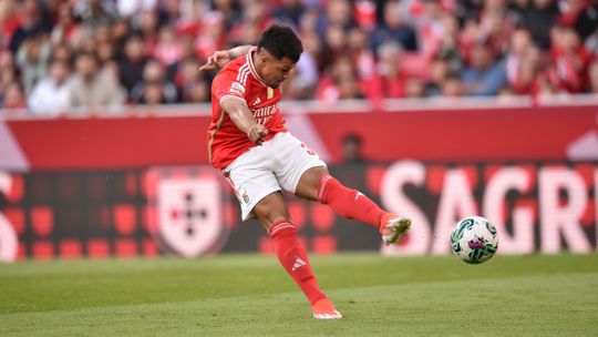 Benfica: golo do mês é de Marcos Leonardo