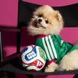 Camisola do México... para cães
