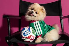 Camisola do México... para cães