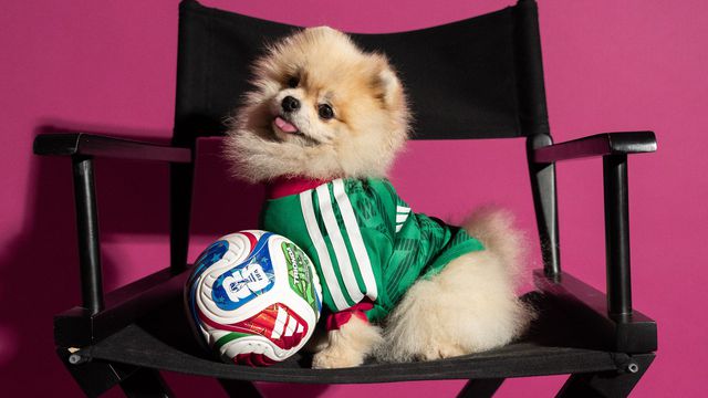 Camisola do México... para cães