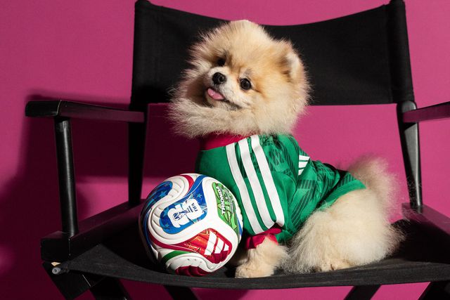 Camisola do México... para cães