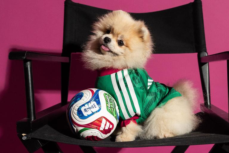 Camisola do México... para cães