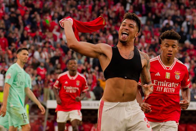 Benfica: Marcos Leonardo já acelera no Brasil