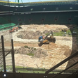 Sporting: obras em Alvalade a todo o gás (vídeo)