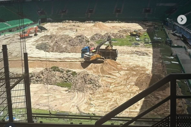 Sporting: veja como está o relvado de Alvalade