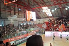Luz a ferver para o decisivo Benfica-Sporting