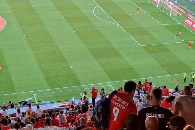Entrada e aquecimento dos jogadores do Benfica