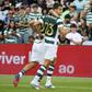 Sporting: Bragança prioritário para o Torino