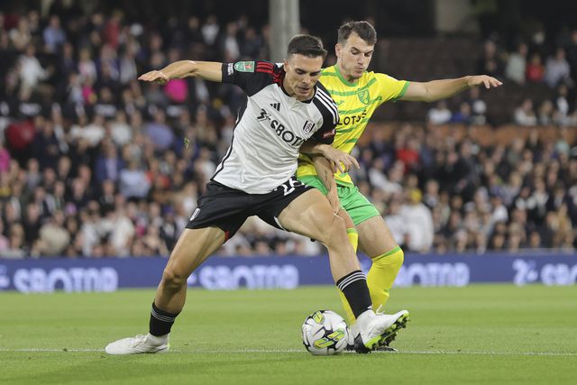 Marco Silva garante: «Não foi por causa do Bayern que o Palhinha renovou»