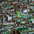 Adeptos do Sporting têm acompnhado a equipa de norte a sul do país