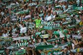 Adeptos do Sporting têm acompnhado a equipa de norte a sul do país