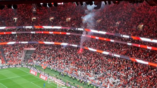 Festa nas bancadas da Luz depois da estreia de Amdouni a marcar pelo Benfica