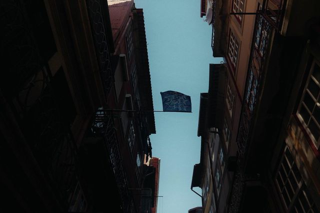 FC Porto celebra 132 anos com lançamento de documentário