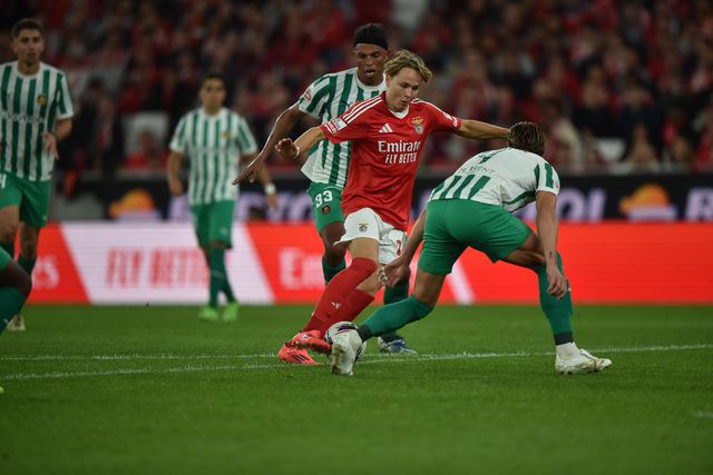 Liga confirma horário do jogo em atraso entre Benfica e Rio Ave