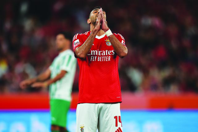 «Esta exibição foi importante para aumentar a confiança de Pavlidis»