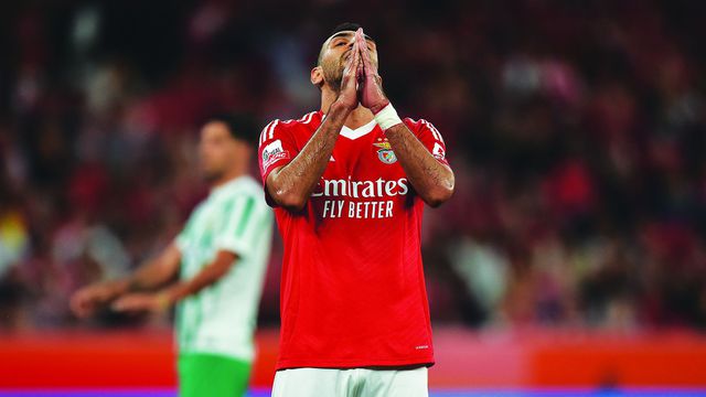 «Esta exibição foi importante para aumentar a confiança de Pavlidis»