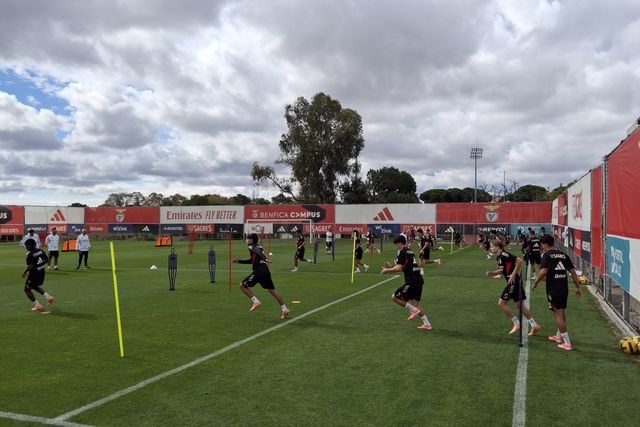 Benfica regressa à competição esta quarta-feira. Foto: A BOLA