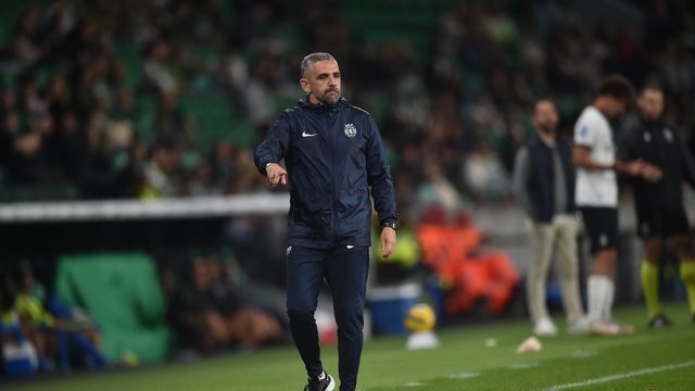Rui Borges, treinador do Sporting, em Alvalade na goleada ao Alverca para a Taça da Liga - Foto: Miguel Nunes
