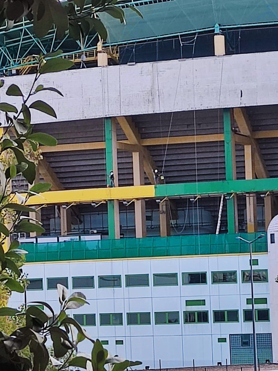 Depois das cadeiras e dos azulejos, Alvalade está ainda mais verde