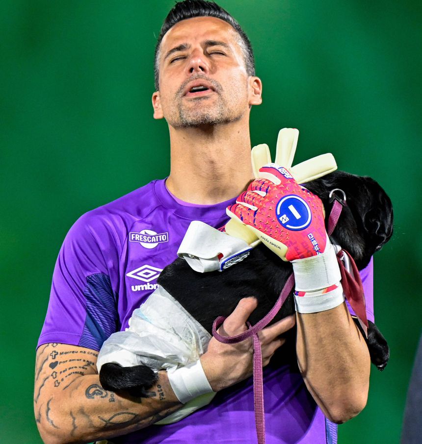 Jogadores de Fluminense e São Paulo entram do Maracanã na companhia de cães para adoção: Foto: Imago