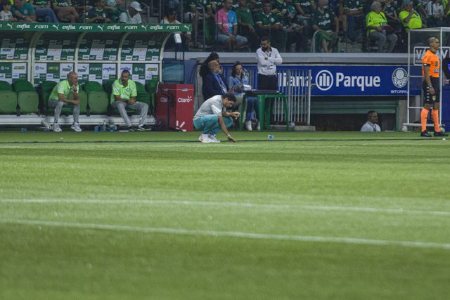 Abel Ferreira exige troca imediata de relvado e Palmeiras recusa-se a jogar