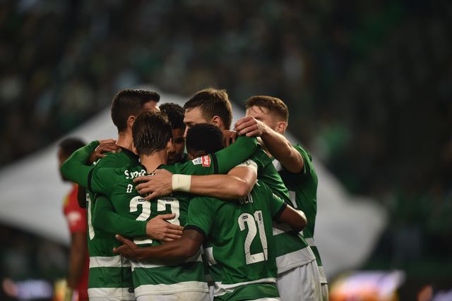 O azar dos gansos foi a fome dos leões: crónica do Sporting-Casa Pia